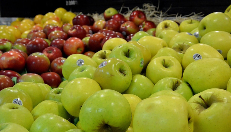 ذخیره‌سازی حدود ۱۰۰ درصد سهمیه سیب تنظیم بازار شب عید در خراسان رضوی