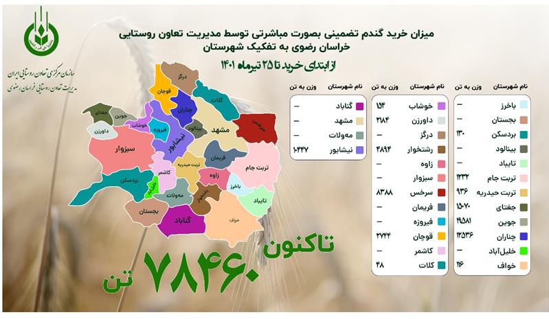 خرید بیش از ۷۸ هزار تن گندم توسط مراکز خرید شبکه تعاون روستایی خراسان رضوی